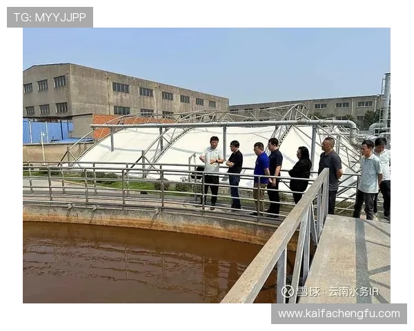 走进凯发全站，了解其背后的发展历程与前景