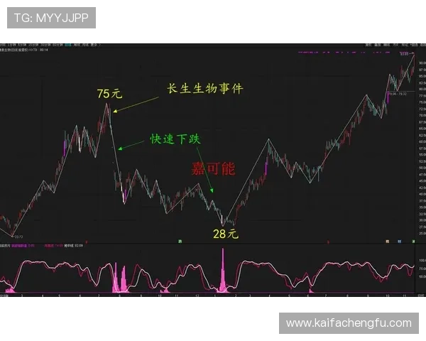 掌握闪电21点的基本规则和高级技巧实现稳健盈利